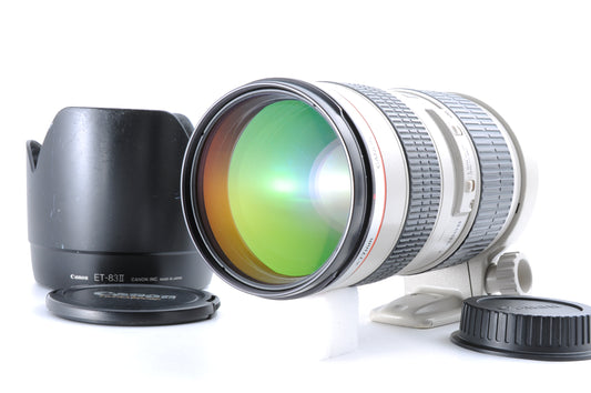 Canon EF 70-200mm F/2.8 L USM