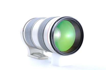 Canon EF 70-200mm F/2.8 L USM