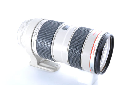 Canon EF 70-200mm F/2.8 L USM